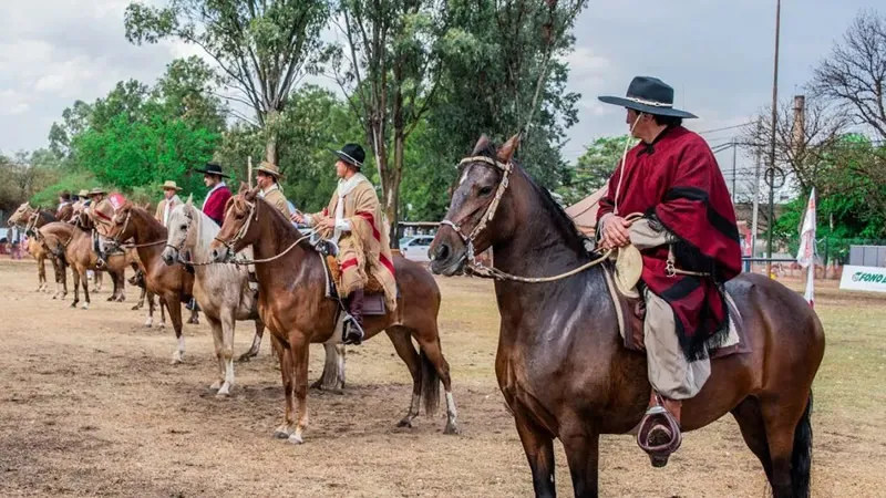 Caballos Peruanos de Paso