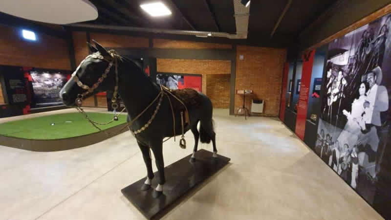 Museo del Festival