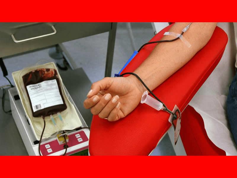 Donante de sangre