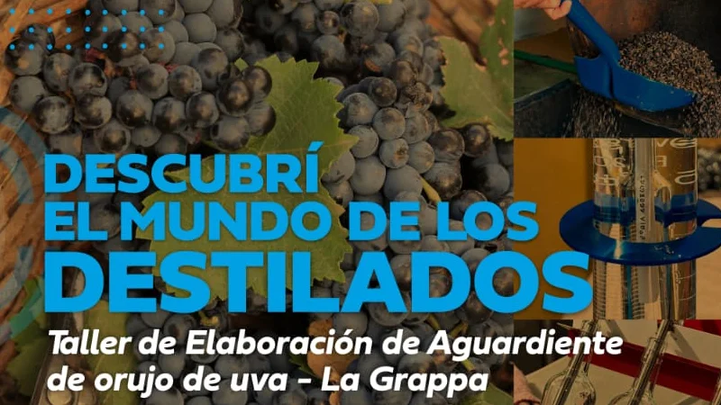 Taller de grappa