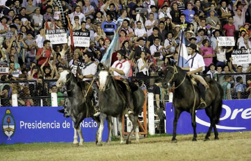 Campeones Doma