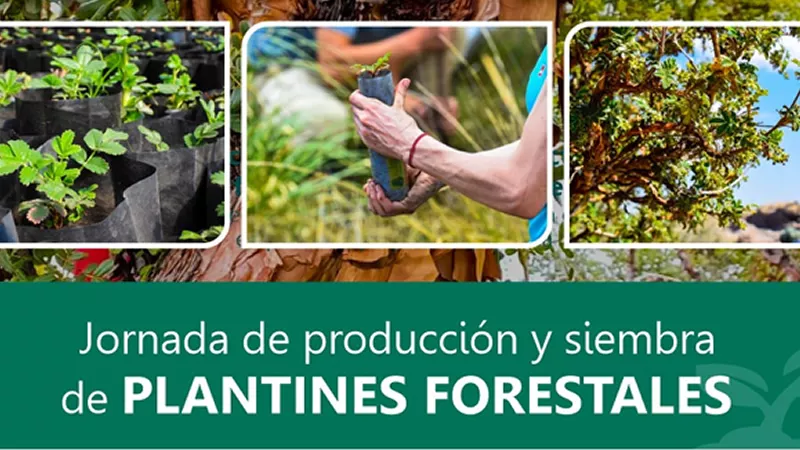 Jornada de produccion de plantines