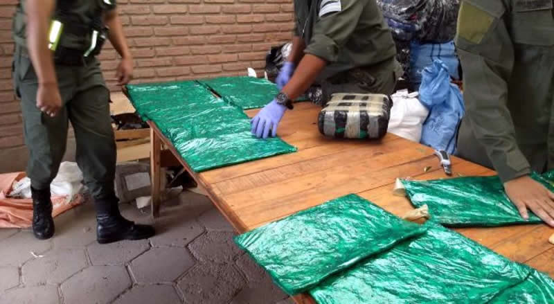 Gendarmería Y La Fpa Secuestran Hojas De Coca En Sinsacate 5350