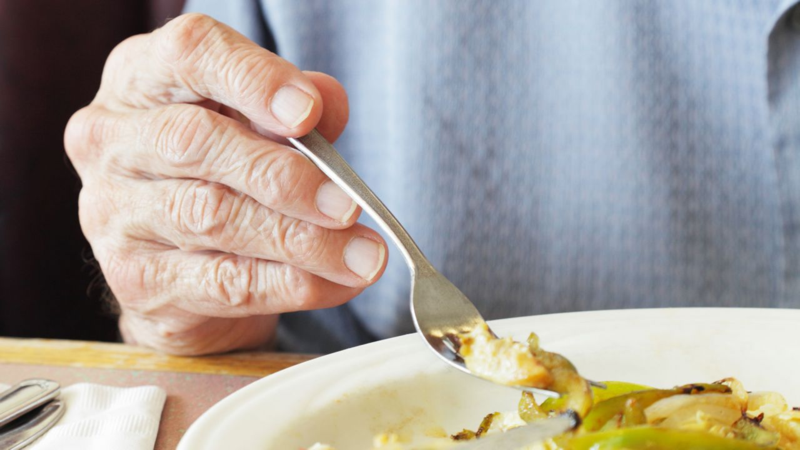 Viandas para ancianos