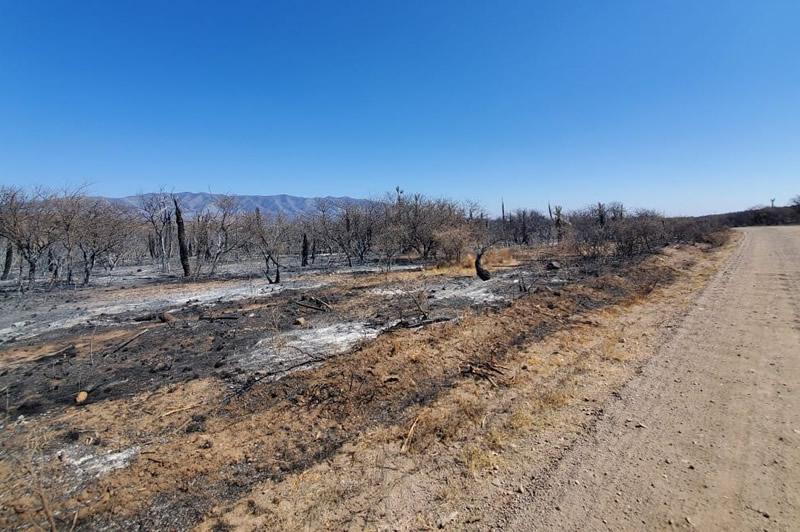 Campo incendiado