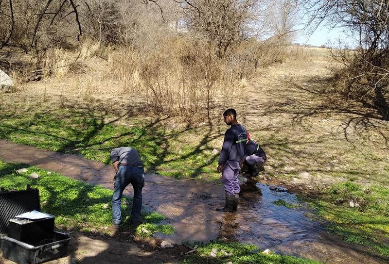 Análisis de agua en Sinsacate