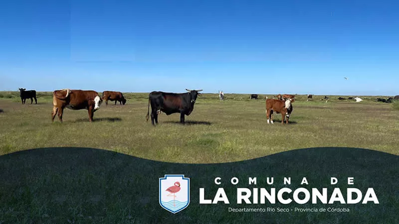 Reunión en La Rinconada
