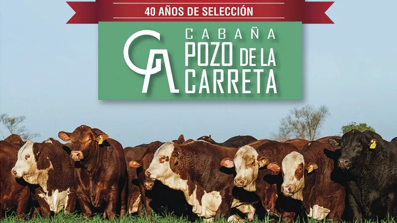 Remate Pozo de la Carreta