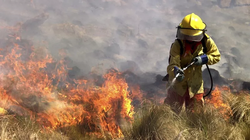 Incendios forestales