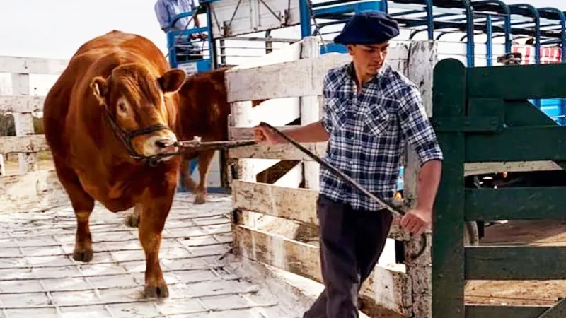 Admisión en la Expo Rural