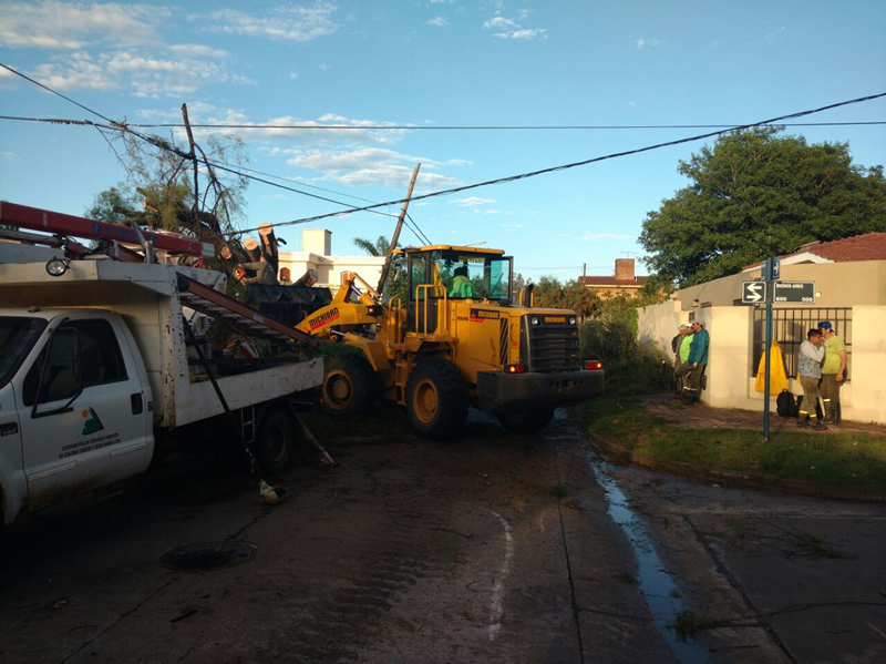 Arreglos de cables Coop 2