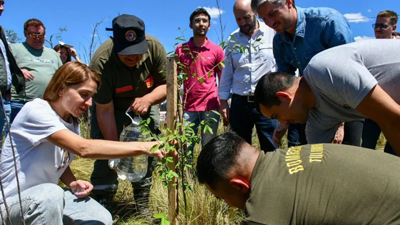 Forestación del Camino Real