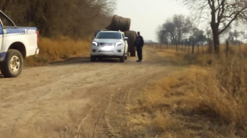 Rollos de pasturas sin documentación