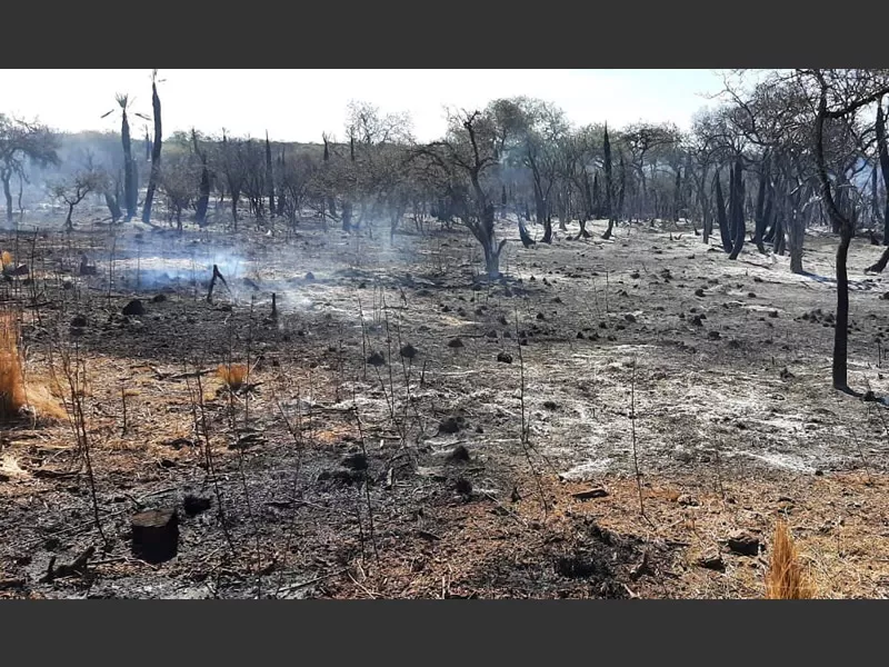 Incendio en Tulumba