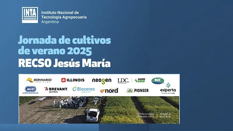 Jornada RECSO
