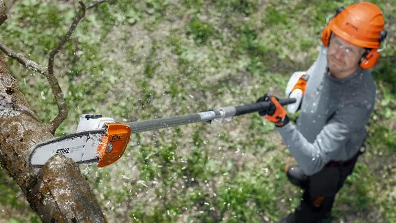 Poda con motosierras