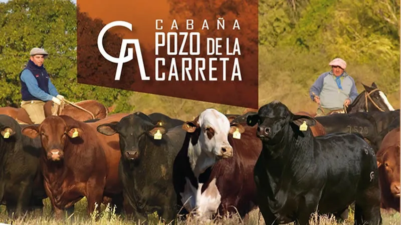 Pozo de la carreta