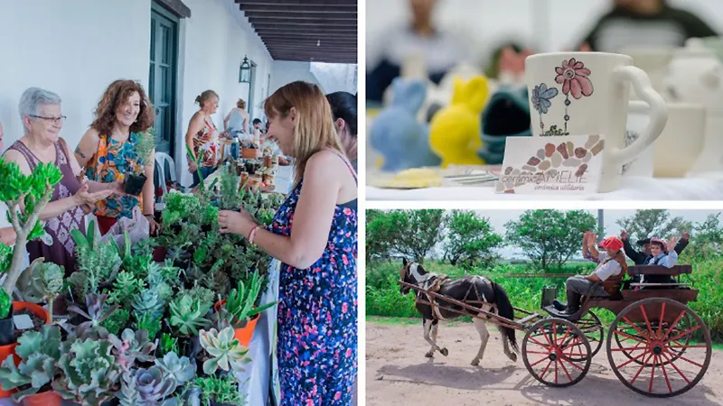 Mercado de pulgas Sinsacate