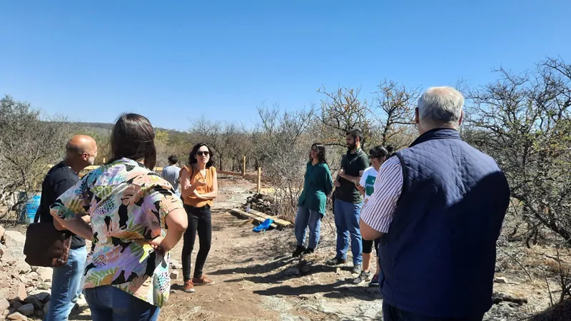 Escuela del Monte cimientos