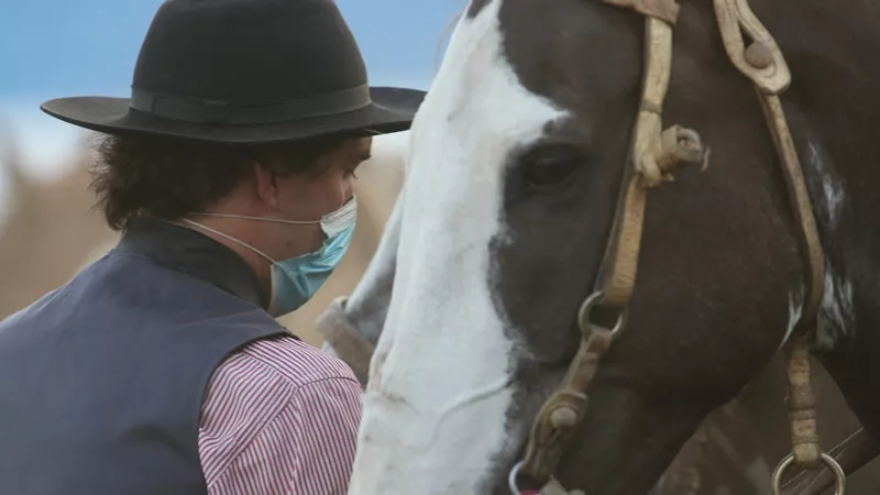 Caballo 2