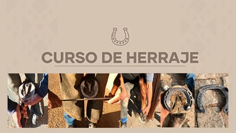 Curso de Herraje