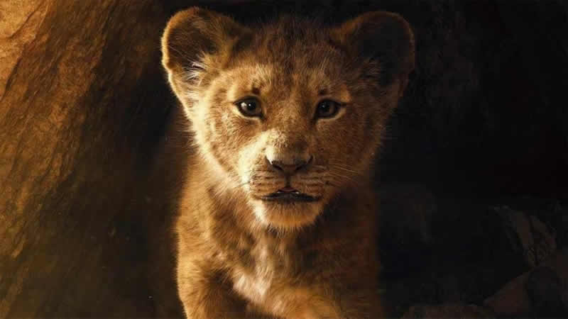 El Rey León