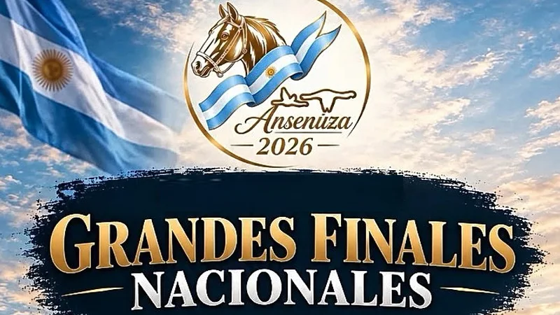 Finales Ansenuza 26