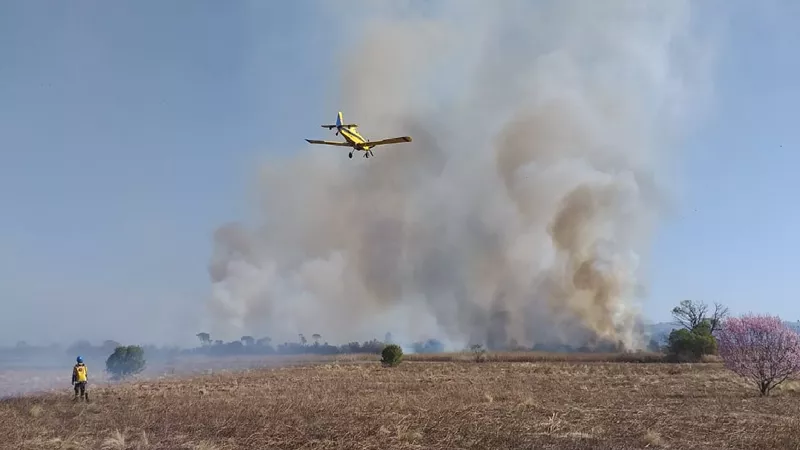 Incendio forestal