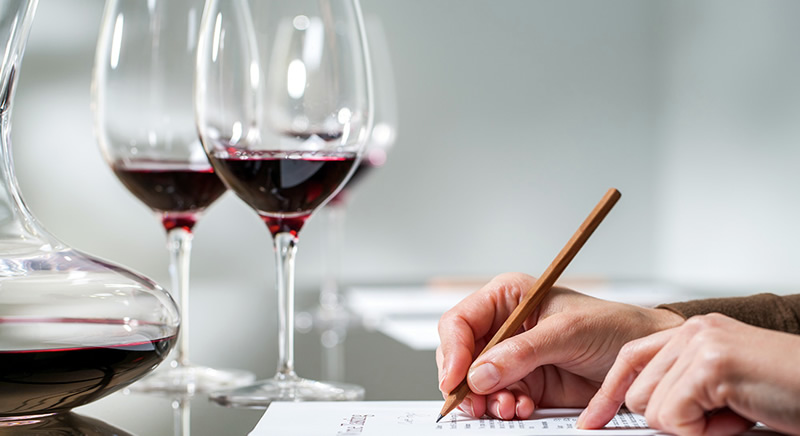 Cata de vinos