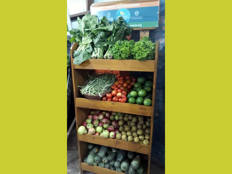 Punto Agroecológico
