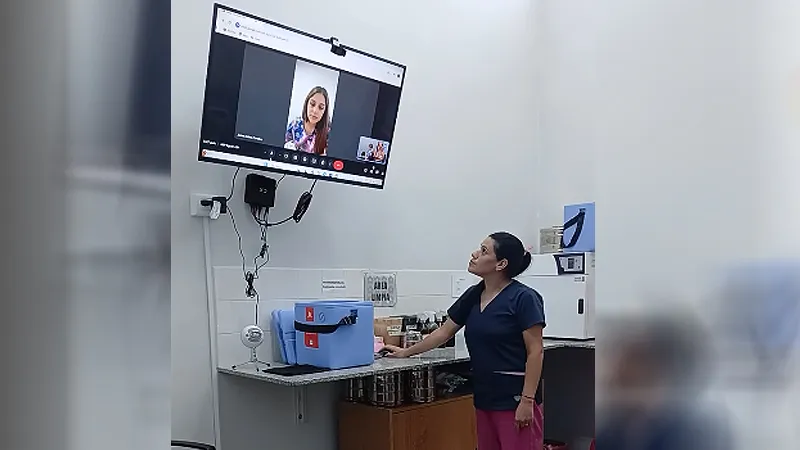 Teleconsulta