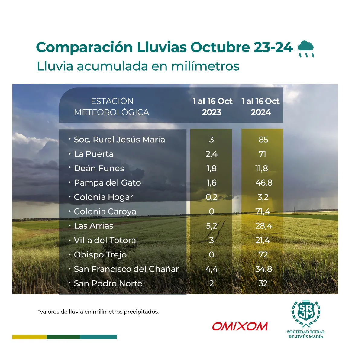 WhatsApp Image 2024-10-17 at 19.37.55