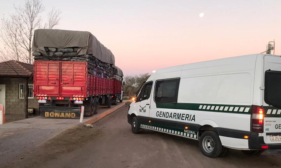 32.800 kilos carbón GNA (1)