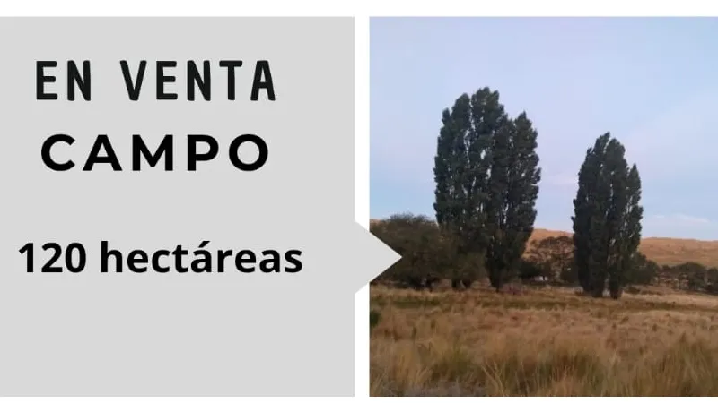 Venta de campo