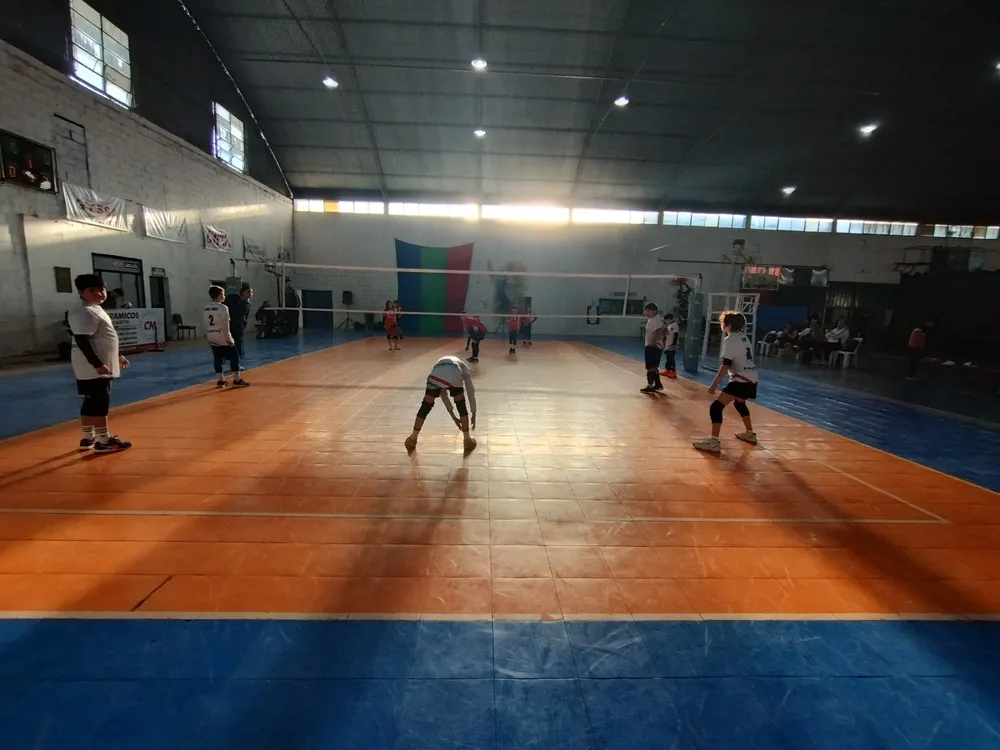 Voley Alianza