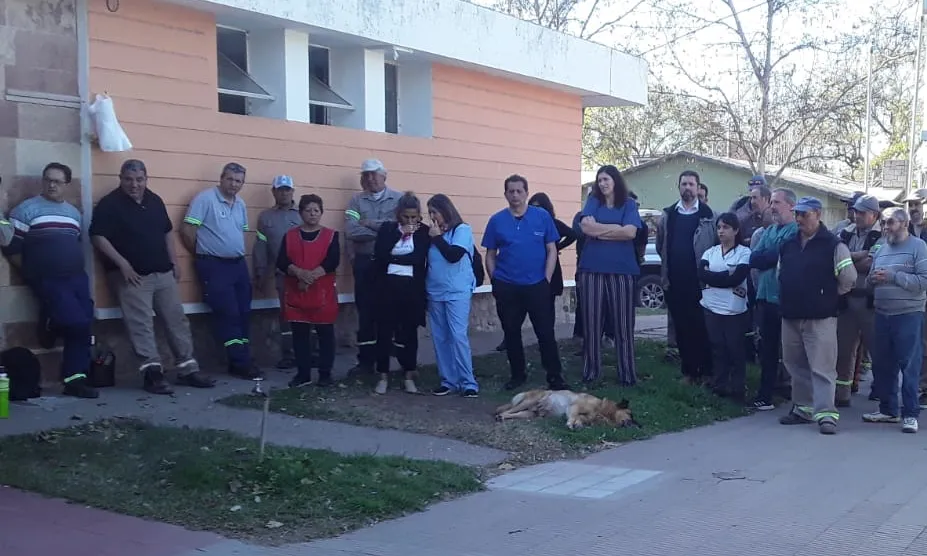 Asamblea Municipales