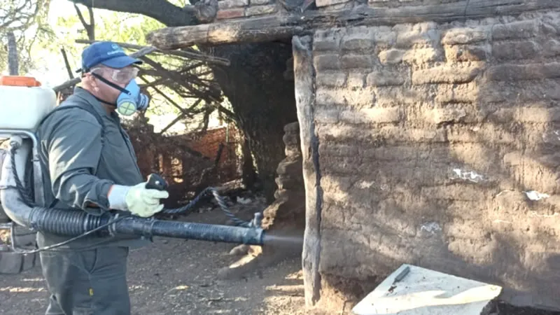 Fumigación de vinchucas