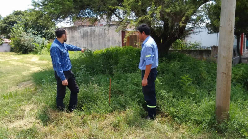 Desmalezado en CC