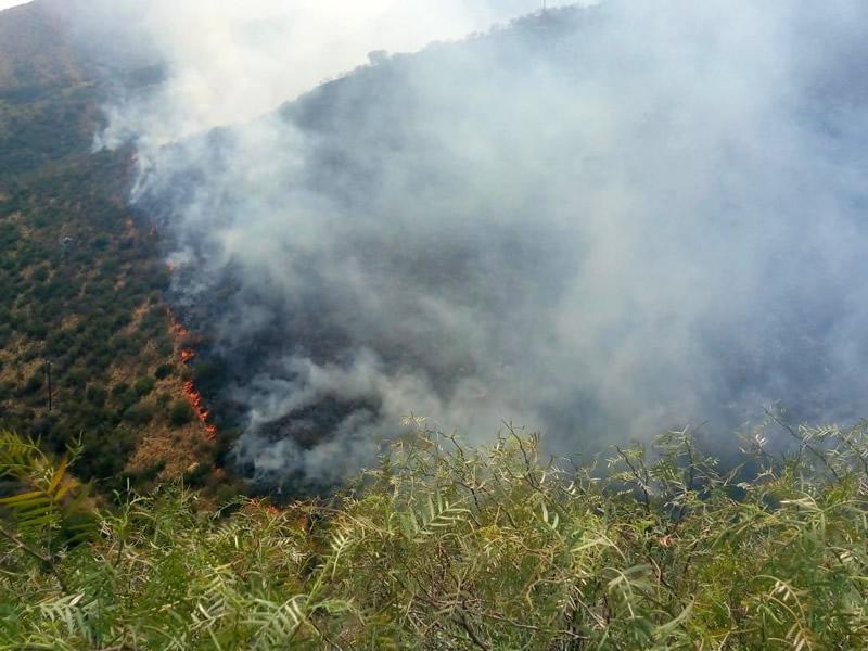 Incendio en San Pedro