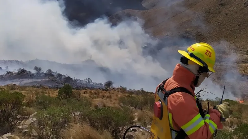 Incenio en Suerras Chicas