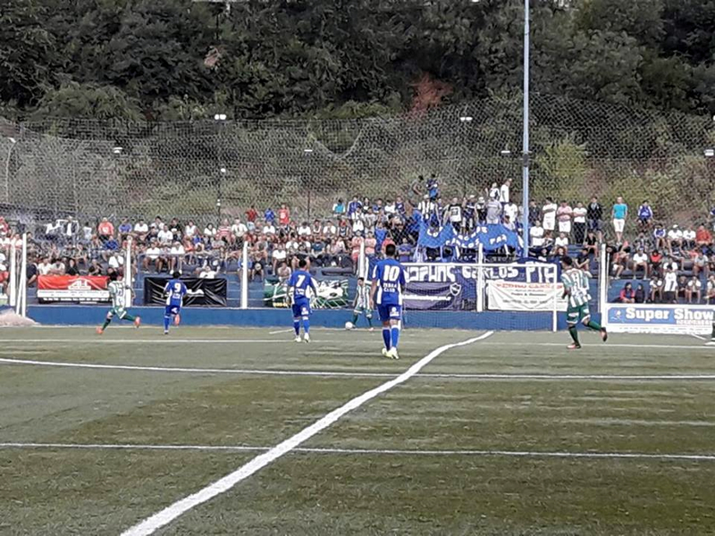 Deportivo Colon sintetico
