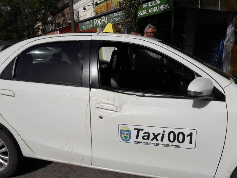 Taxi roto por árbol