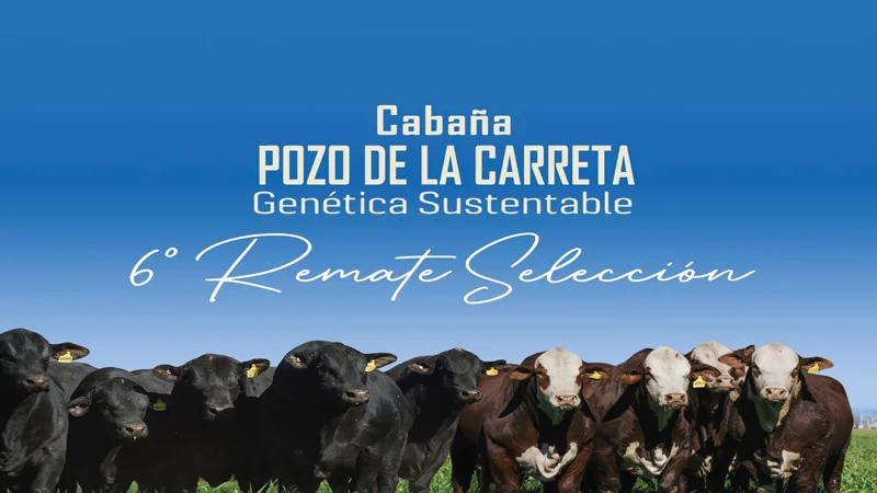 Remate Pozo de la Cabaña