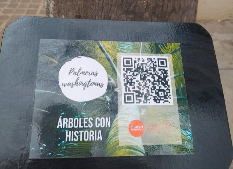 Arboles con historia