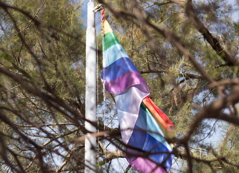 Bandera del Cooperatismo 1