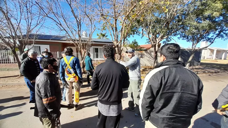 Curso de poda