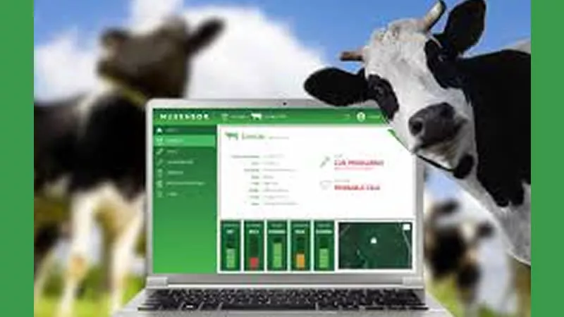 Ganadería de precisión