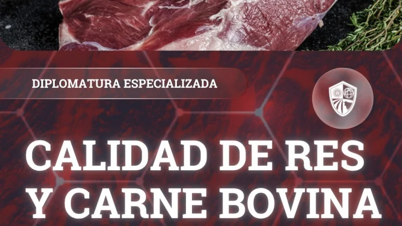 Diplomatura en carne bovina