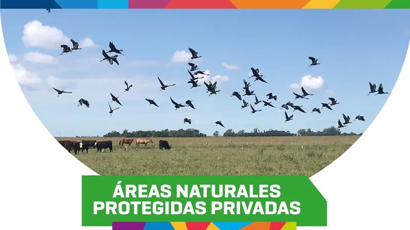 Areas Naturales Protegidas