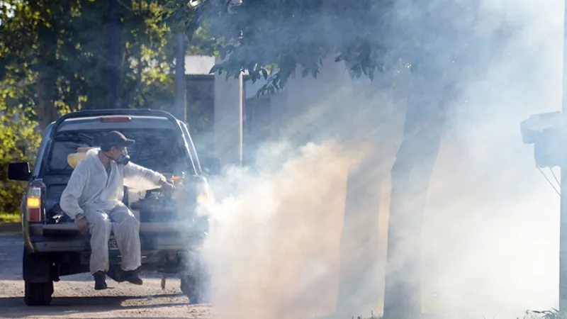 Fumigación